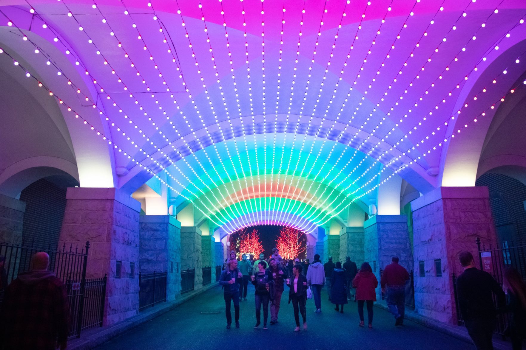 Anheuser-Busch Brewery Lights